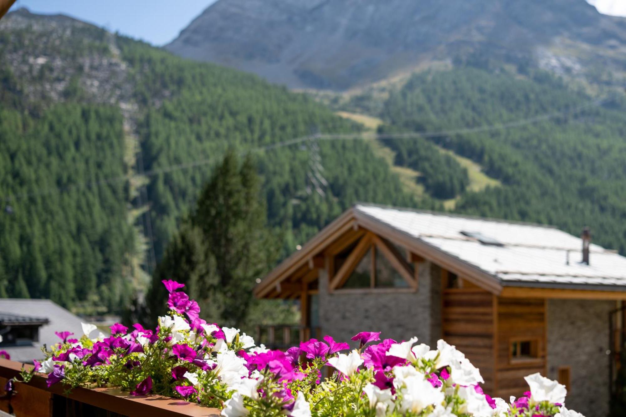 Haus Avalanche Διαμέρισμα Saas Fee Δωμάτιο φωτογραφία